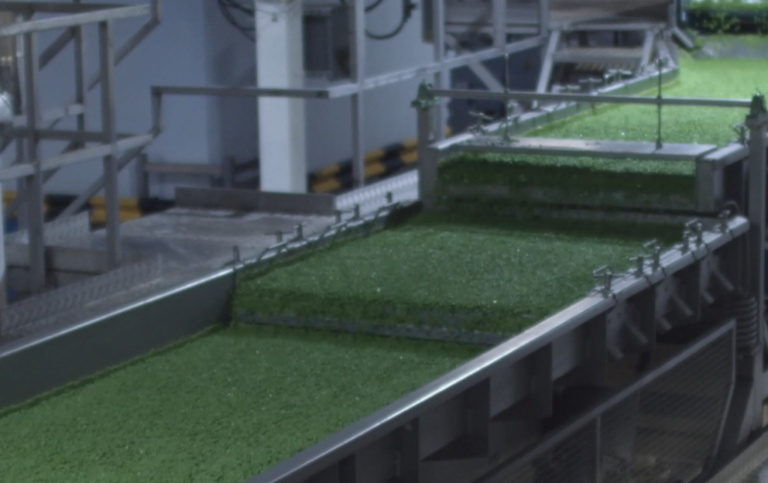 Vibratory Conveyors Widget