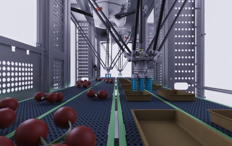 Vine Tomato Processing & Packing Widget